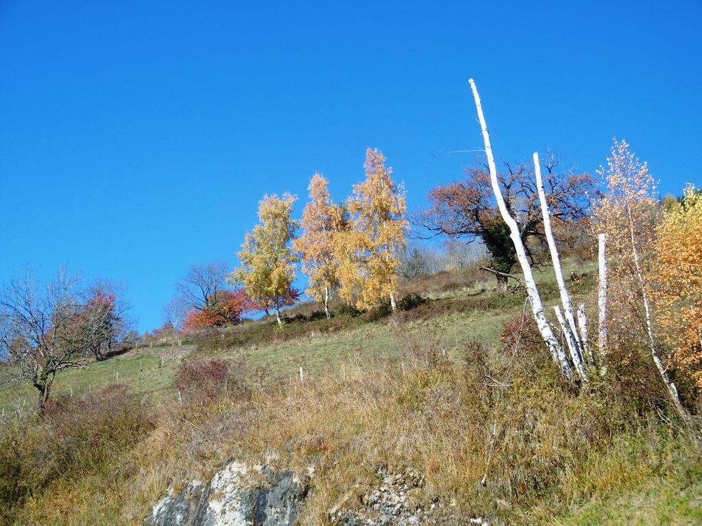 Gite Au Coeur Du Chalet En Belledonne Vers Prapoutel Les 7 Laux Sainte-Agnès Quarto foto